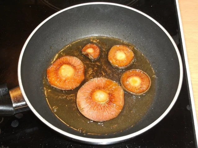 Rezept: Pilze: Der Echte Reizker Bild Nr. 4 Pilze: Der Echte Reizker - Rezept - Bild Nr. 4