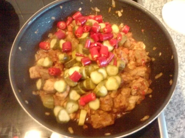 G E I L A S C H -- ODER -- SAUER UND SCHARF MACHT NOCH LUSTIGER - Rezept - Bild Nr. 9