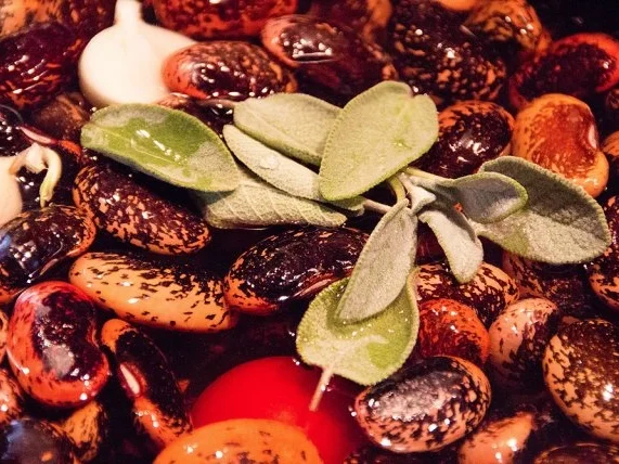 Eintopf mit Bratwurst, Fenchel, Wirsing und Bohnen - Rezept - Bild Nr. 3