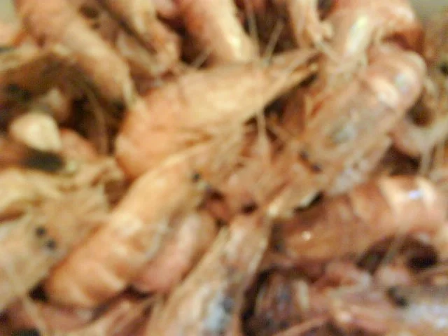 bretonischer "potage aux crevettes" - Rezept - Bild Nr. 6