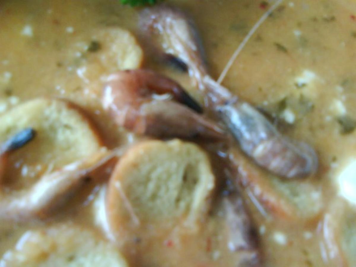 bretonischer "potage aux crevettes" - Rezept - Bild Nr. 8