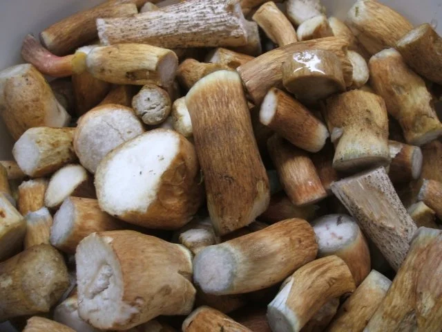 Gewürzmischungen: Pilzsalz, die zweite Version - Rezept - Bild Nr. 2