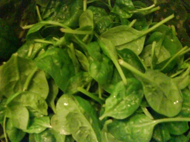 Quiche au saumon et aux épinards - Rezept - Bild Nr. 3