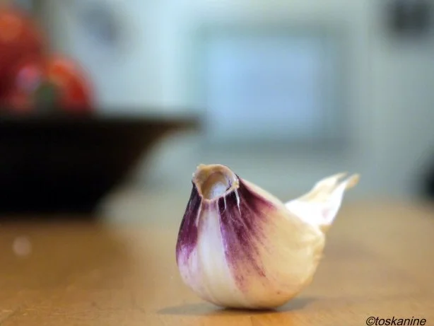 Rezept: Ricotta-Tomaten-Tarte Bild Nr. 5 Ricotta-Tomaten-Tarte - Rezept - Bild Nr. 5