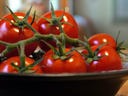 Rezept: Ricotta-Tomaten-Tarte Bild Nr. 7 Ricotta-Tomaten-Tarte - Rezept - Bild Nr. 7