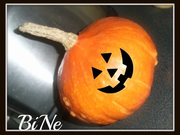 BiNe` S KUERBIS - KARTOFFELTOPF - Rezept - Bild Nr. 2