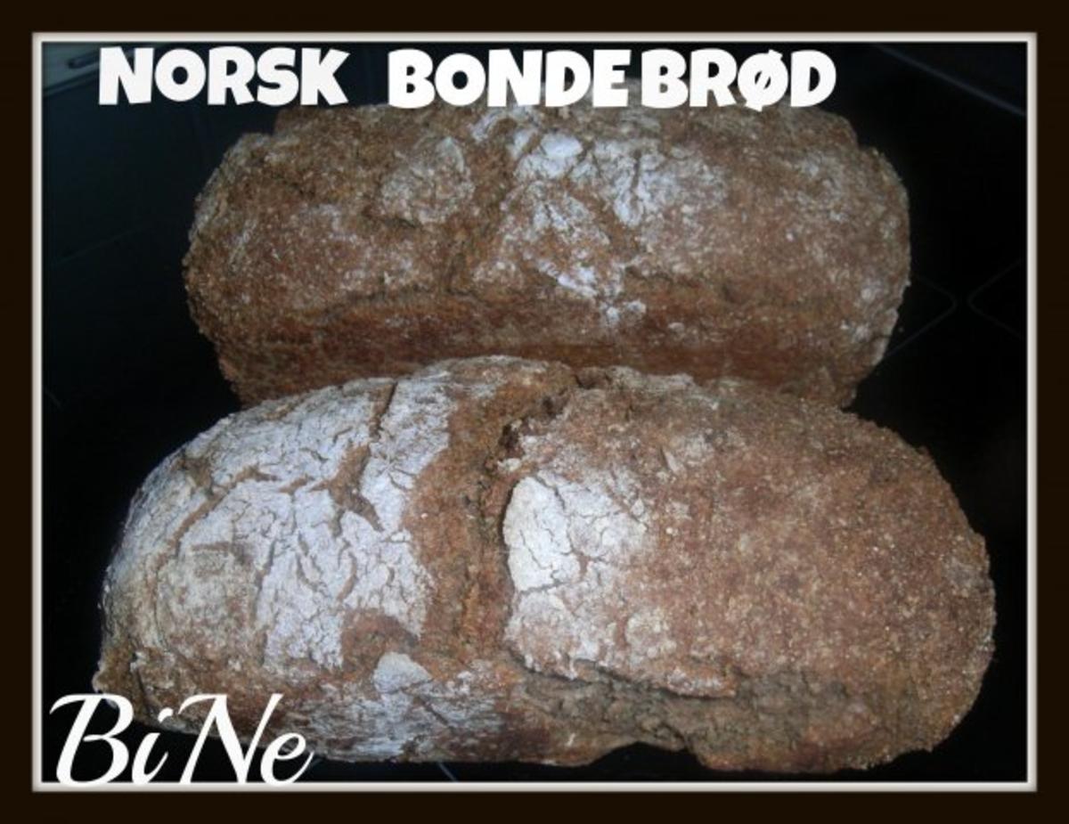 BiNe` S NORSK BONDEBRØD - Rezept