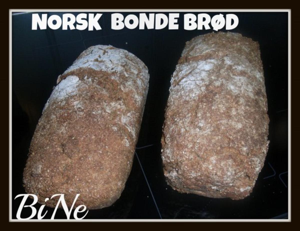 BiNe` S NORSK BONDEBRØD - Rezept - Bild Nr. 6