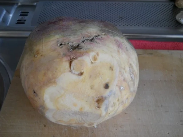 Steckrübeneintopf mit Kasseler - Rezept - Bild Nr. 4