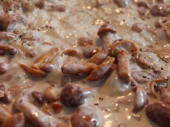 Geschnetzeltes - Rezept - Bild Nr. 5