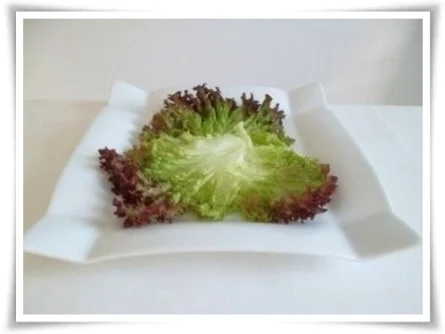 Rezept: Hausgemachter Hamburger - Vegetarisch mit Lollo rosso Salat Bild Nr. 11 Hausgemachter Hamburger - Vegetarisch mit Lollo rosso Salat - Rezept - Bild Nr. 11