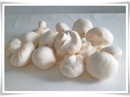 Rezept: Hausgemachter Hamburger - Vegetarisch mit Lollo rosso Salat Bild Nr. 4 Hausgemachter Hamburger - Vegetarisch mit Lollo rosso Salat - Rezept - Bild Nr. 4