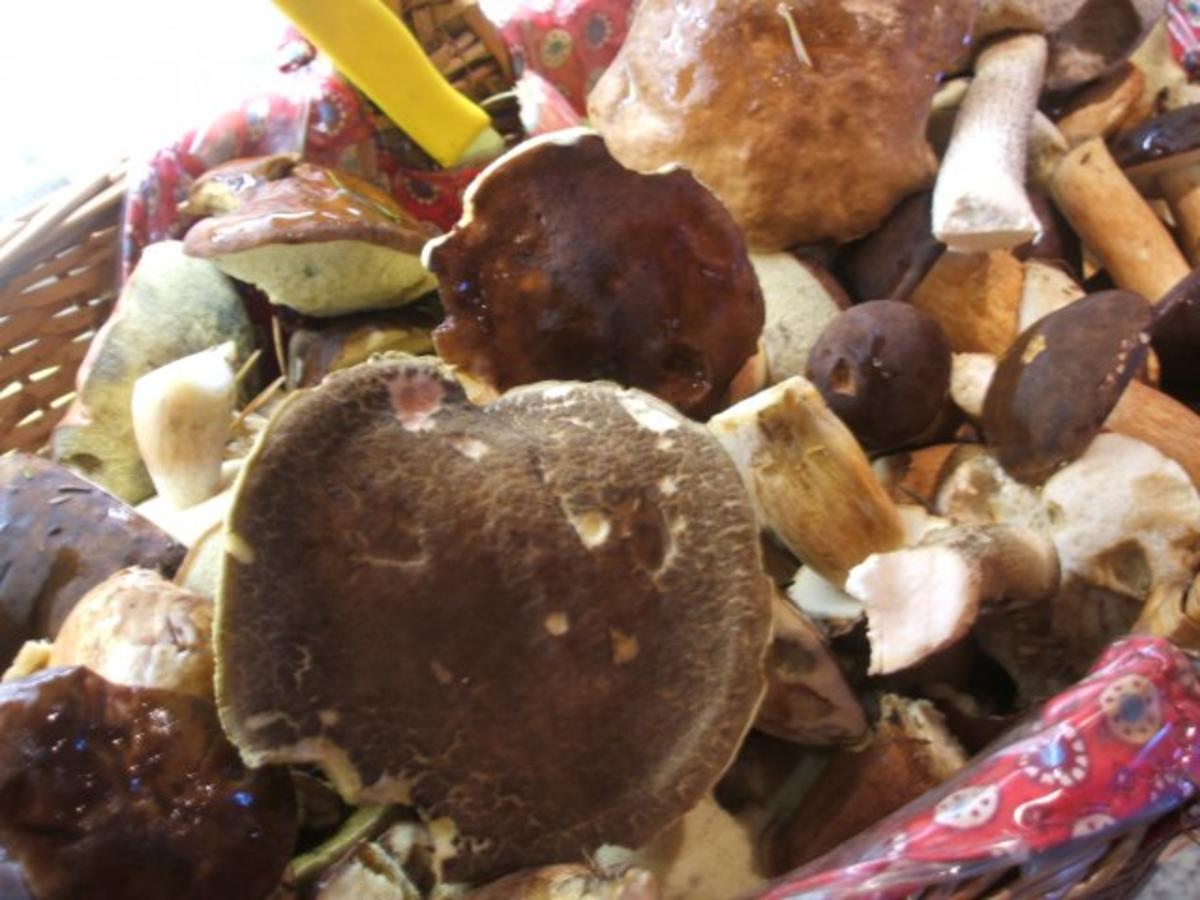 Pilze: Funghi  "Firenze" - Rezept - Bild Nr. 2