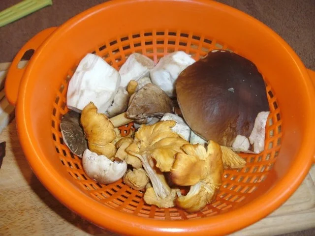 Filet " Waldeslust " - Rezept - Bild Nr. 3