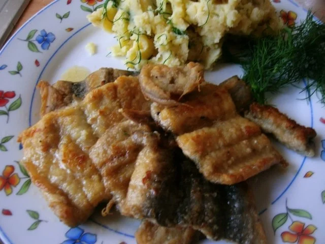 Ostseeaal gebraten ...........ganz einfach - Rezept - Bild Nr. 7