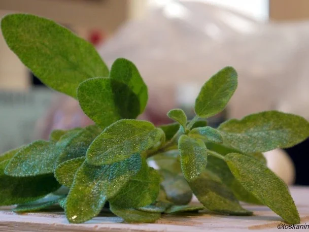 Cidre-Hähnchen mit karamellisierten Äpfeln - Rezept - Bild Nr. 2