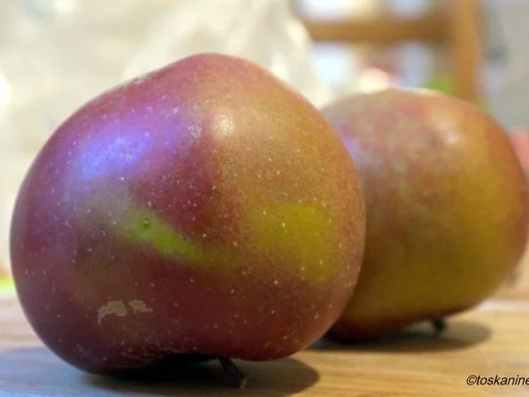 Cidre-Hähnchen mit karamellisierten Äpfeln - Rezept - Bild Nr. 10