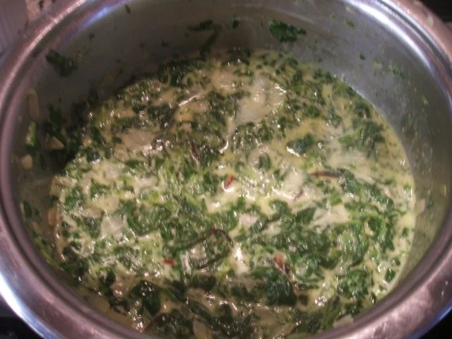 Pasta: Lasagne mit zweierlei Füllung - Rezept - Bild Nr. 8