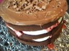 Schokoladen Cranberries Torte - Rezept