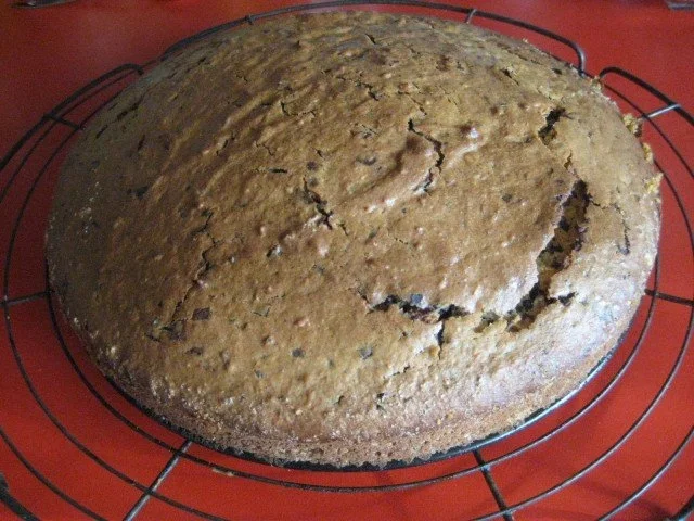 Rezept: Eierlikör - Nusskuchen Bild Nr. 11 Eierlikör - Nusskuchen - Rezept - Bild Nr. 11