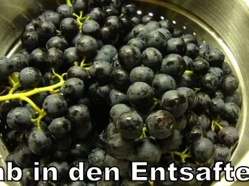 Rezept: Trollinger Gelee Bild Nr. 3 Trollinger Gelee - Rezept - Bild Nr. 3