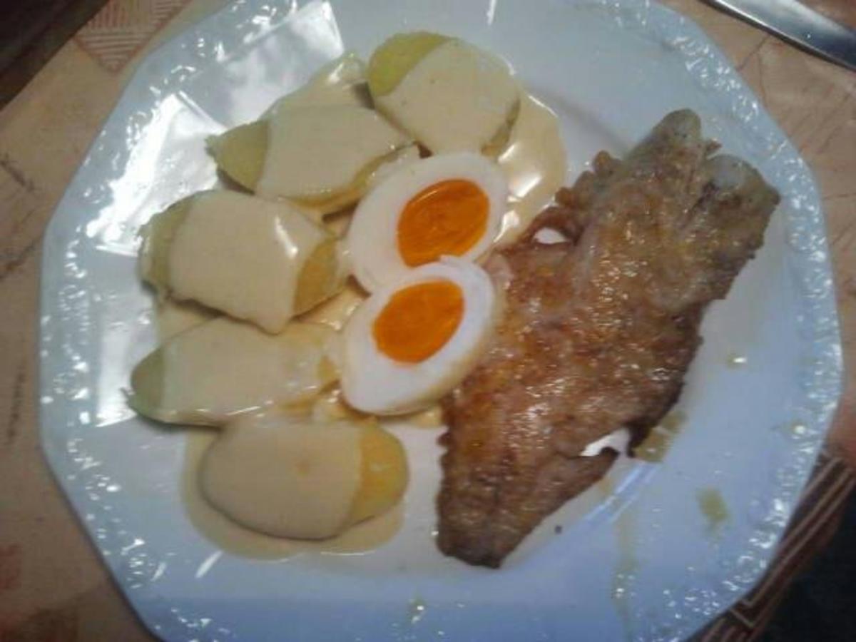 Fisch mit Senfsoße, Eier und Pellkartoffeln - Rezept