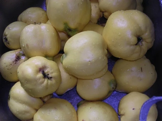 Quittenmarmelade - Rezept