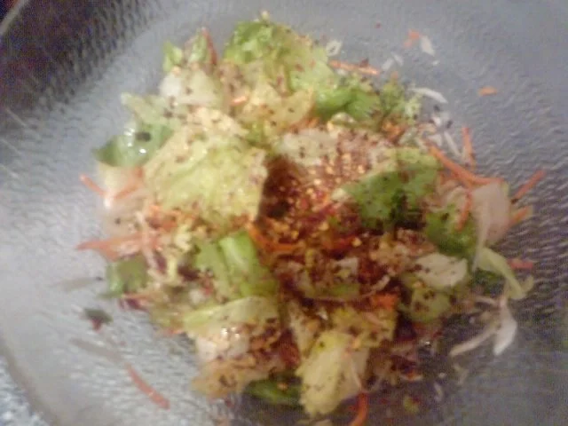 I N S A L A T A --- M I S T A --- C O N --- F U N G H I --- A R R O S T O --- A V A N T I - Rezept - Bild Nr. 6