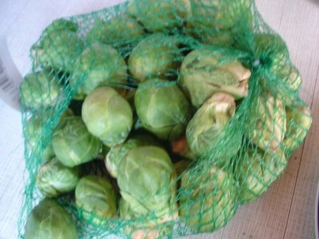 Rosenkohl - Rezept - Bild Nr. 2