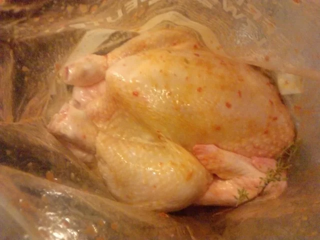 S I T T I N G -- C H I C K E N  oder was passiert mit meinem Bier? - Rezept - Bild Nr. 5