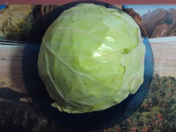 Rezept: Innerschweizer Kabisfleisch ( in Deutschland Weiss Kohl ) Bild Nr. 2 Innerschweizer Kabisfleisch ( in Deutschland Weiss Kohl ) - Rezept - Bild Nr. 2