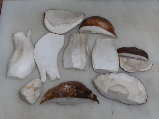 Rezept: Fleisch: Rinderbauch / Schemmrippe, geschmort, mit Steinpilzen und Preiselbeeren Bild Nr. 7 Fleisch: Rinderbauch / Schemmrippe, geschmort, mit Steinpilzen und Preiselbeeren - Rezept - Bild Nr. 7