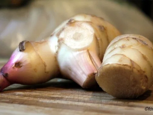 Rezept: Asiatische Fleischbällchen mit Kanton-Reis Bild Nr. 4 Asiatische Fleischbällchen mit Kanton-Reis - Rezept - Bild Nr. 4