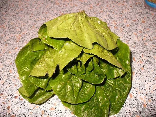 Hähnchenspieße - Rezept - Bild Nr. 8