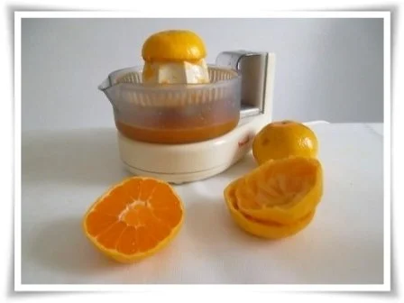 Halloween Kürbis- Mandarinen  Cremesuppe - Rezept - Bild Nr. 8