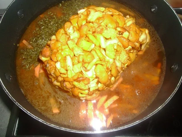 Rehschnitzel in feiner Rahmsoße (und Spiralnudeln) - Rezept - Bild Nr. 6