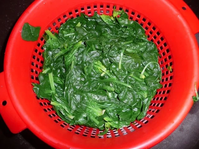 Rezept: Spinat-Lasagne mit Ricotta Spinat-Lasagne mit Ricotta - Rezept