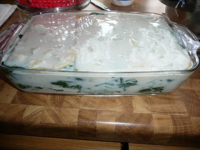 Rezept: Spinat-Lasagne mit Ricotta Bild Nr. 5 Spinat-Lasagne mit Ricotta - Rezept - Bild Nr. 5