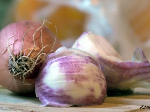 Kürbissuppe - Rezept - Bild Nr. 3