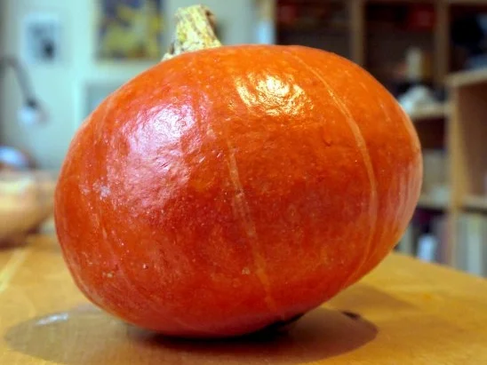 Kürbissuppe - Rezept - Bild Nr. 5