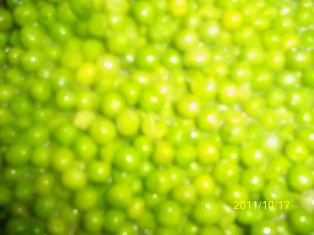 erbsengemüse - Rezept - Bild Nr. 4