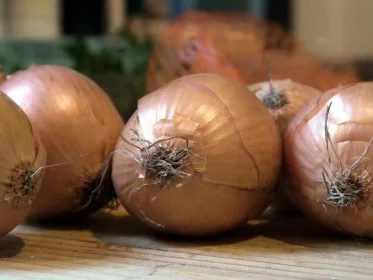Zwiebel-Buttermilchbrot - Rezept - Bild Nr. 2