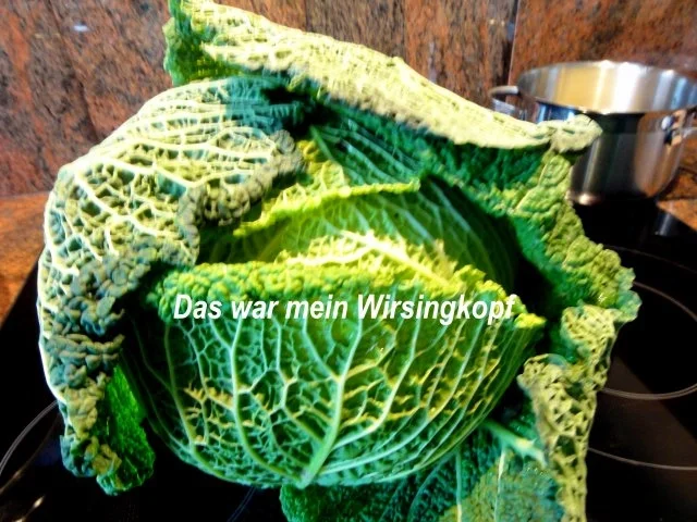 Gemüse:   WIRSING - ROULADEN mit Hackfüllung - Rezept - Bild Nr. 2