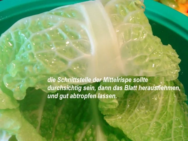 Gemüse:   WIRSING - ROULADEN mit Hackfüllung - Rezept - Bild Nr. 7