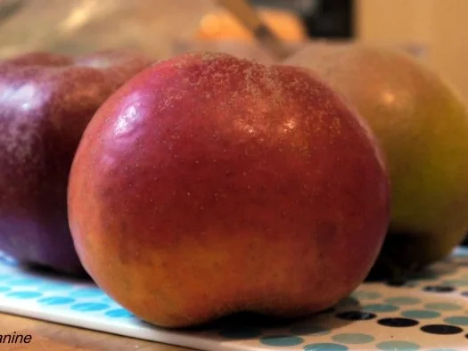 Rezept: Apfel-Walnuss-Tarte mit Zimtsahne Bild Nr. 5 Apfel-Walnuss-Tarte mit Zimtsahne - Rezept - Bild Nr. 5