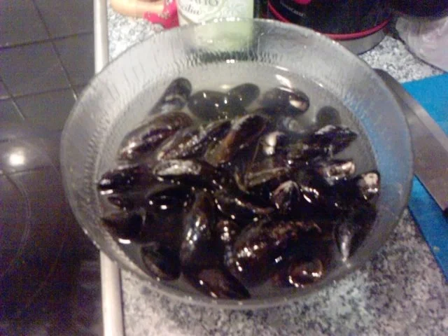 Rezept: K U S C H E L -- M U S C H E L -- BIANCO Bild Nr. 9 K U S C H E L -- M U S C H E L -- BIANCO - Rezept - Bild Nr. 9