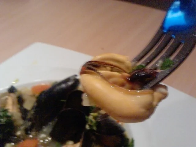 Rezept: K U S C H E L -- M U S C H E L -- BIANCO Bild Nr. 12 K U S C H E L -- M U S C H E L -- BIANCO - Rezept - Bild Nr. 12