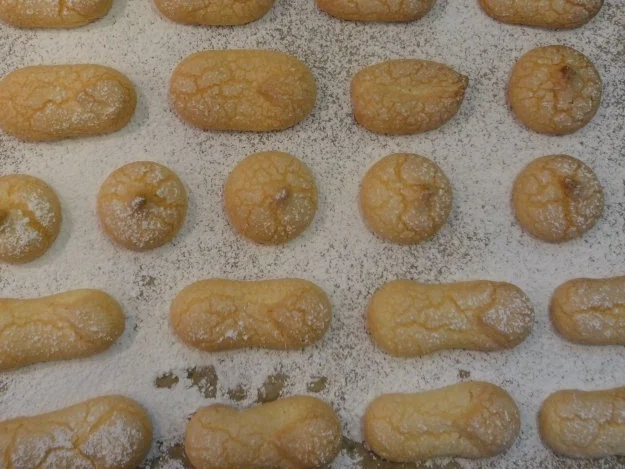 Löffelbisquit - Rezept - Bild Nr. 2