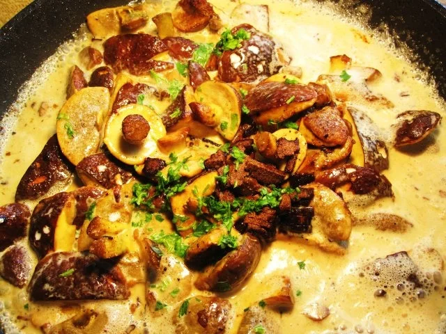 Rezept: Waldpilzpfanne mit Putenbrust-Streifen Bild Nr. 6 Waldpilzpfanne mit Putenbrust-Streifen - Rezept - Bild Nr. 6