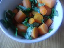 Antipasti - Piemonteser Karotten - Rezept